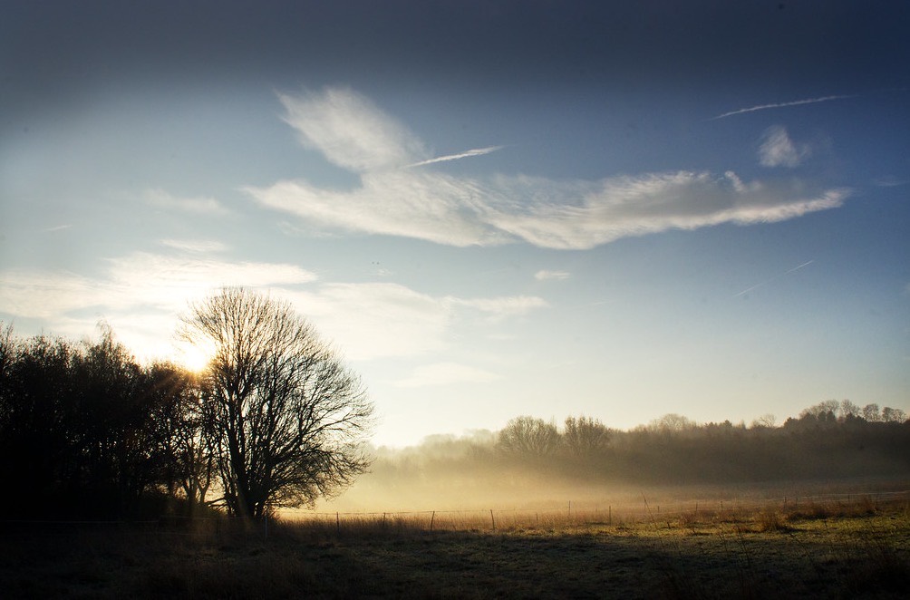 Sunrise burning off low mist over a quiet field on a cold Midwestern morning.